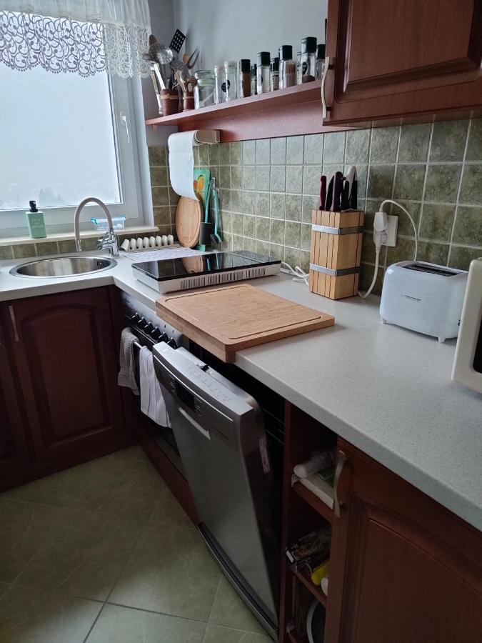 Apartament Zlap Oddech Закопане Экстерьер фото